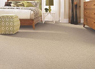 Softique Carpet by Alexander Smith Abbey Carpet Floor